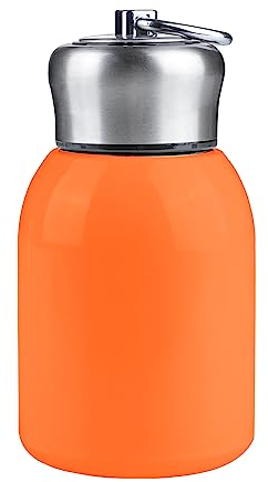 DesignBox Mini Thermal Mug, 10oz/300ML Mini Mug Leak Proof Vacuum Flasks Travel Cup Portable Stainless Steel Drink Water Bottle for Indoor Outdoor (Orange)