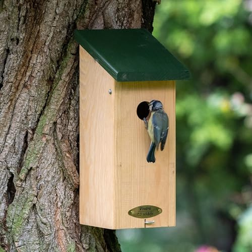 CJ Wildlife Nistkasten – Vogelnistkasten für draußen wetterfest – Massivholz FSC® 100% – Extra hoch mit Einflugloch – Brutkasten für Meisen – Innenmaß 28,5x9x9 cm