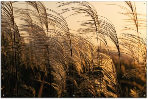 Wallario Outdoor-Poster für Garten oder Balkon Schilf im Wind, Motivbanner Größe: ca. 60 x 90 cm, Outdoor-Bild