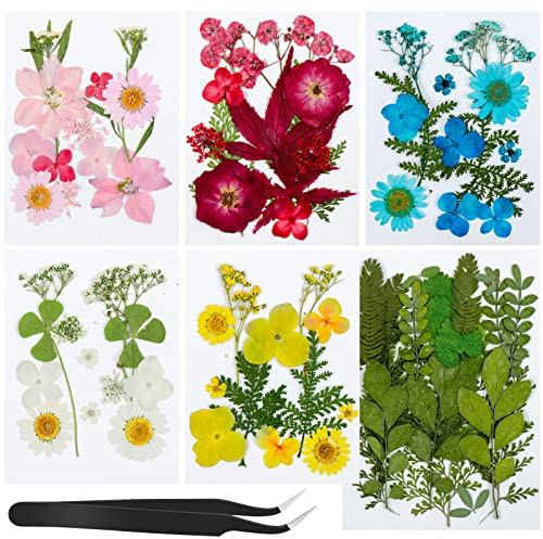 Meetory 81 Pcs Gepresste Blumen, Natürliche Getrocknete Blumen, DIY Getrocknete Blüten, Gemischte Getrocknete Blätter Gänseblümchen für DIY Kerzen Harz Schmuck Nagel Anhänger Scrapbooking-Dekorationen