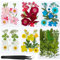 Meetory 81 Pcs Gepresste Blumen, Natürliche Getrocknete Blumen, DIY Getrocknete Blüten, Gemischte Getrocknete Blätter Gänseblümchen für DIY Kerzen Harz Schmuck Nagel Anhänger Scrapbooking-Dekorationen