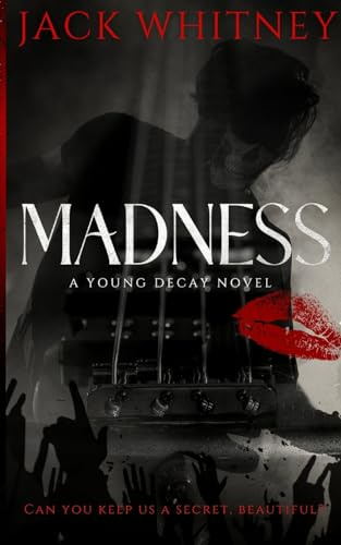 MADNESS: A Masked Rockstar Romance (Young Decay, Band 1)