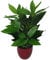Leaf Grande Fogliame Design UK-Pianta Artificiale realistica con Vaso, Evergreen, 70 cm