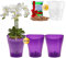 Garten lux 3er-Set Orchideentöpfe Violett Ø16cm 2L mit 3er-Set Orchideentöpfe mit Drainagelöchen Ø14cm 1L aus Kunststoff und Tongranulat 2,5L für den Innenbereich