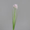 Seidenblumen Roß Alliumblüte mit Gras 78cm DP Kunstblumen künstliche Blumen Allium (Lavender)