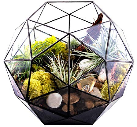 PRTECY Geometrischer Terrarienbehälter, Handgefertigter Blumentopf aus Glas, Pflanzgefäße für Sukkulenten, Farn, Moos, Luftpflanzen Im Innenbereich (Pflanze Nicht Im Lieferumfang Enthalten)