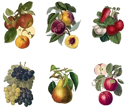 SUPERDANT Wandsticker Im Vintage Wandaufkleber Obst Trauben Pfirsiche Wandtattoo Kühlschränke Küche Speisekammer Vinyl Wandsticker Kunstbild Dekor Für Küche Kinderzimmer Speisekammer