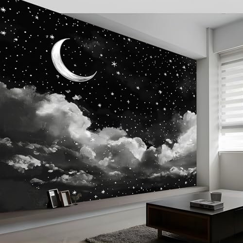 Papier Peint 3D style Panoramique 250 x 175 cm Nuages De Lune Ciel Nocturne Décoration Murale, Avec du Noir Blanc Papier Peint intissé pour Chambre Salon Personnalisé Décoration Murale
