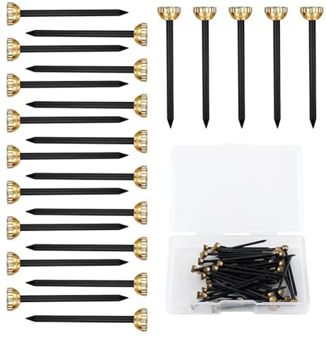 60 Pcs Picture Hanging Nails, Picture Hanging Pins with Storage Box | Wall Nails for Hanging Pictures, Nail Hooks for Hanging Photo Frames, Pictures