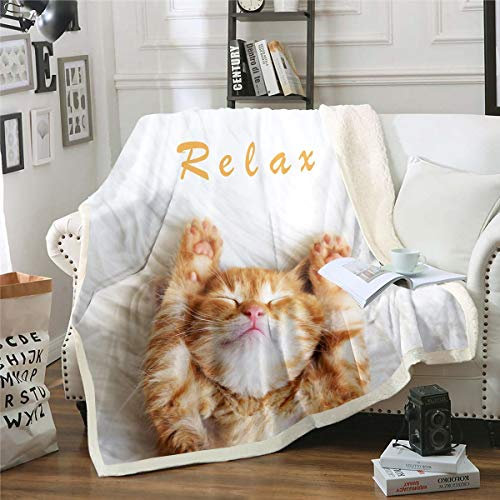 Coperta in pile con motivo gatto per bambini, per ragazzi, per adulti, ragazzi, ragazze, in stile 3D, coperta in peluche, per amanti del gatto, coperta sfocata per divano letto e camera da letto per