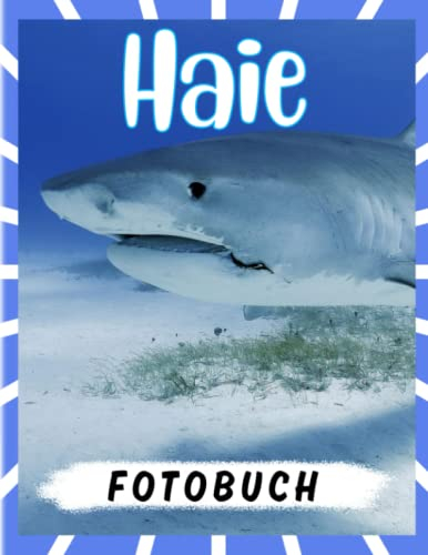 Haie Fotobuch: Fotoalbum-Sammlung von vielen Haien mit 40 exklusiven Bildern zum Dekorieren | Geschenke für Fans jeden Alters zum Geburtstag, Weihnachten und mehr