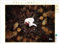 CALVENDO Puzzle Aura | 1000 Teile Lege-Größe 64 x 48 cm Foto-Puzzle für glückliche Stunden