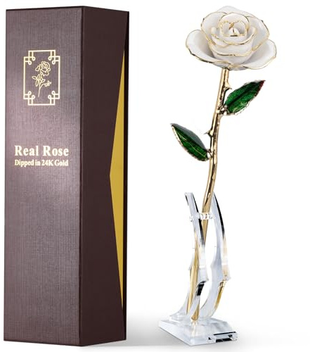 ECO SPACE Echte Rose in 24 Karat Gold getaucht, handgefertigt, einzigartiges Geschenk – zeitloses romantisches Geschenk für Geburtstag, Valentinstag, Muttertag, Jahrestag (Elfenbeinweiß)