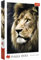 Trefl 26139 Porträt 1500 Teile, Premium Quality, für Erwachsene und Kinder ab 12 Jahren Puzzle Das Portrait des Löwen, Farbig