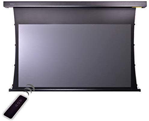 HiViLux® Tension CLR/ALR Motor Leinwand Dualspann System für UST-Beamer/Laser TV: HiViPrism Cinema HDR Hochkontrast/8K/4K/3D (135Zoll 16:9 Bild:300x168cm Schwarz)