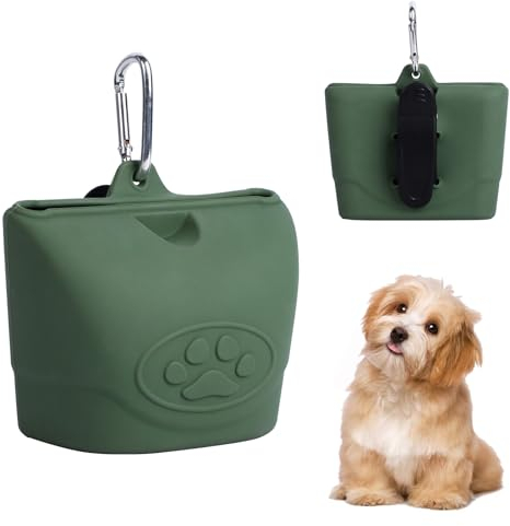 BBXWANG Silicone Dog Treat Pouch - Portable Magnetic Closure, Waist Clip, Small Treat Pouch with Carabiner for Dog Walking