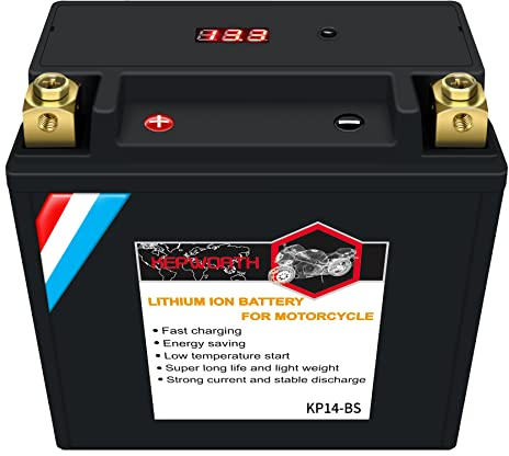 Motorradbatterie YTX14-BS 12V 9Ah 520CCA LiFePO4 zyklenfeste Starterbatterie, lagerfähig, wartungsfrei