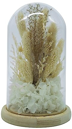 HEITMANN DECO Trockenblumen in Glasglocke, Natur/weiß, ca. 12x12x20 cm