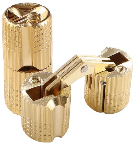 VooGenzek 2 Pièces 12mm Charnière Invisible Laiton Tonneau, Charnière Laiton Caché Ouverture à 180° Angle, Charnières à Barillet Dissimulées, pour Boîtes à Cadeau Bijoux Bricolage