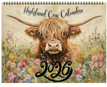 Highland Cow Kalender 2026 Planer Highland Cow Wandkalender 2026 Aquarell Kühe Monatsplaner Schottische Wandkunst
