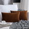 Sunia Kissenbezüge 30x50 cm Set mit 2 Samt Moderne Kissenbezüge dekorativen quadratischen rechteckigen Kissenbezüge für Couch Bett Sofa Stuhl Schlafzimmer Wohnzimmer, Kaffee