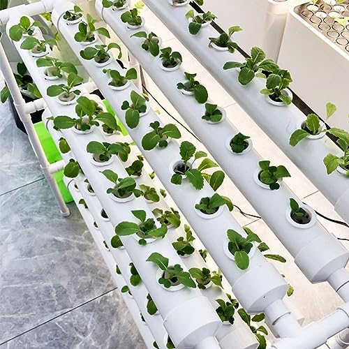 ZHEYANG Aquaponic, Hydroponic, Innenhydroponik Wachstumssystem Hydroponic Garden Hydroponic System Kit Großes Indoor -Kräuter -Gartenregal 0823