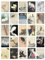 Artery8 50 Pcs Japanese Art Collage Kit Ohara Koson Woodblock Paintings Wall Art Prints A6 Set Pack 14.8 x 10.5 cm (5.8 x 4.1) Room Decor Poster Collection Kachō-e