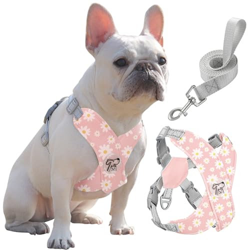 Pawaboo Hundegeschirr mit Hundeleine Set, X-Rahmen Verstellbares Anti Zug Anti-Erstickung Hund Brustgeschirr für Kleine, Mittelgroße Hunde & Welpen, Hundeweste mit Leine, L, Rosa Gänseblume