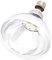 Tusk Intelec Infrarotlampe mit hartem Glas (250 Watt) (Transparent)