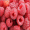 Graines framboisier Bush (Rubus idaeus) Graines 100+