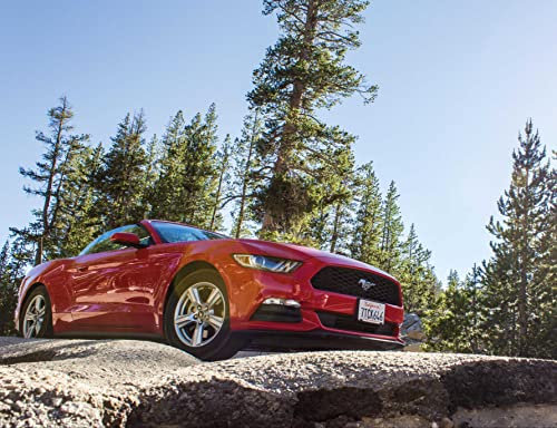 hansepuzzle 15539 - Wilder Mustang Puzzle 1000 Teile | Fortbewegung Puzzle mit hochwertiger Puzzle Aufbewahrung: Kartonbox und Wieder verschließbarem Beutel | Puzzle-Maße: 60 x 46 cm