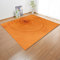 Outdoor Teppich Orange Holzmaserung Schmutzfangmatte Polyester Verdicken Fußmatte Außen Innen rutschfest Fussmatte Weich Fussmatten Haustür Waschbar Fussabtreter Aussenbereich Türmatte 40x60cm