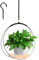 FENGCHUANG Maceta Colgante Interior, 30X30cm Macetero Colgante, Metal Colgar y Base de Madera, para Plantas Interiores y Exteriores Decoración del Hogar (Negro)