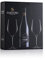 Casa Vinicola Sartori, Confezione Assaggio Amarone della Valpolicella D.O.C.G. Rosso, 2020, Veneto, Confezione Regalo, 750ml + 2 calici degustazione