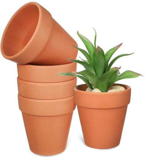 Sosoport 5pièces Pots Terre Cuite pour Plantes Pots De avec Drainage pour Cactus Et Convient pour Intérieur Et Extérieur