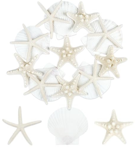 TaoQ C 15 Stück Seestern und Muscheln Natürliche Muscheln Weiße Muscheln Große Muscheln für Handwerk Hochzeit Dekor Strand Theme Party, Fischtank und Vase Füller ﻿