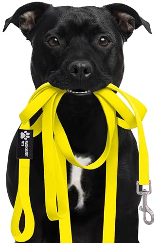 Reichstadt Pets Robuste PVC texturierte Hundeleine 25RSP085 Yellow 5m | Wasserabweisend, rutschfeste Oberfläche | 360° Edelstahl-Karabiner, pflegeleicht & wetterfest