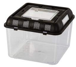 ReptiZoo Plastik Terrarium (Flat Box) small 26x26x20 cm (RT2002B)