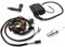 Zündungsset passend für Piaggio NRG MC2, Sfera, NSL, TPH, Vespa ET2, Gilera Runner 50 – Lichtmaschine, CDI, Zündspule, Zündkerze, Stecker