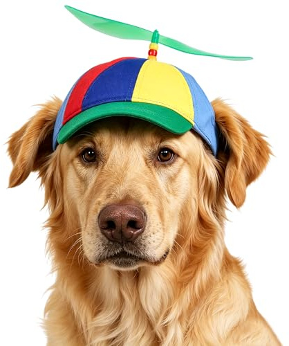 Chapeau à Hélice coloré pour Animaux de Compagnie Casquette de Baseball en Arc-en-Ciel avec Sangle Réglable pour Chien Accessoire Cosplay Mignon pour Chiens et Chats