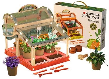 Serre à LED avec panneaux en acrylique pour la croissance des plantes éducative - Kit de jardinage amusant pour enfants avec éclairage LED intégré - Petite serre en acrylique transparent