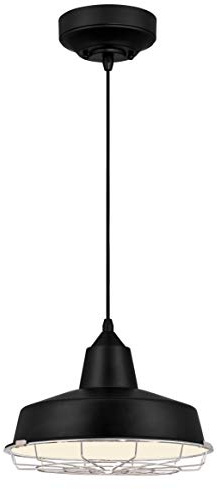 64010 Academy One-Light LED Indoor Pendant, Black Finish with Removable Chrome Cage