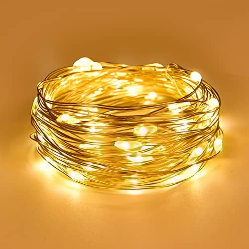 Dalugo Fairy Lights Battery Operated, 2m 20 LED Copper Wire Battery String Lights, Warm White Fairy Lights Indoor for Bedroom Wedding Christmas Jars Bottle Decorations