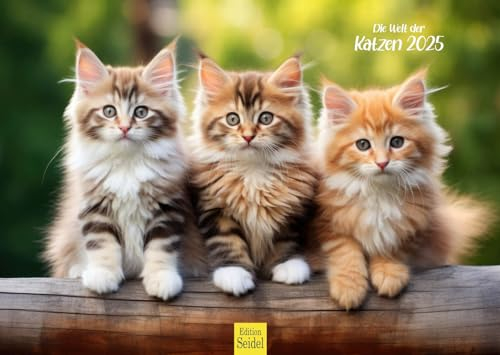 Edition Seidel Premium Kalender Die Welt der Katzen 2025 Format DIN A3 Wandkalender Katzenkalender Haustiere Kätzchen Katzenkinder Katze Kater Kitten