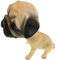 DINHEAROM Wackelkopf Spielzeug Auto Armaturenbrett Dekoration Auto Nicken Hund Puppe Niedlicher Wackelkopf Ornamente Lustige Dekoration als Home Schreibtisch Ornamente
