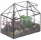 Relaxdays Terrario Piante, Mini Serra in Vetro e Rame, HLP 21x23x14 cm, Piantine Grasse e Muschi, Vaso Ecosistema, Nero