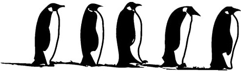 Samunshi® Pinguine Tier Aufkleber Autoaufkleber Sticker für Auto Motorrad Wohnmobil Scheiben in 9 Größen und 25 Farben (30x8,4cm schwarz)