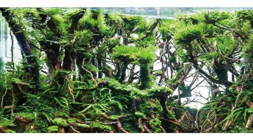 AWERT 48x20 inches Branches Aquarium Background Green Algae Aquarium Background Aquatic Plant River Bed & Lake Fish Tank Background Vinyl Background