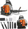 Souffleur à Essence 65 CC, Temps 3,6 CV, souffleur de Jardin, 1 Set souffleuse à Feuilles 2 Temps Moteur souffleuse à Neige Haute résistance pour l'extérieur (EB650-01)
