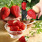 Rotyroya 300 Pz/borsa Semi di Fragola Gigante, Facile Piantare Piantine di Frutta Perenne Fresca Vitale per Giardino Semi Di Fragola